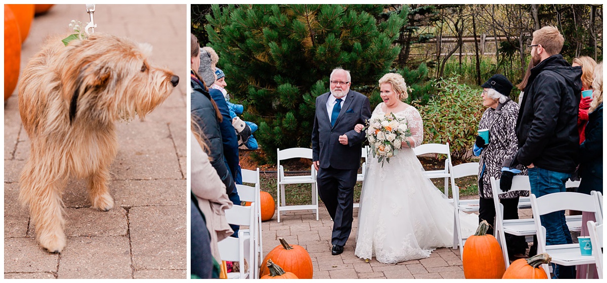 blonde smiling bride walks us an aisle lined with pumpkins with her father
