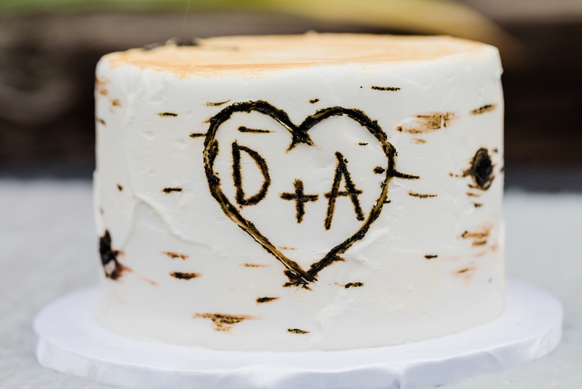 A wedding cake for an intimate elopement that looks like a slice of a white birch tree with a carving of the initials D + A in a heart.