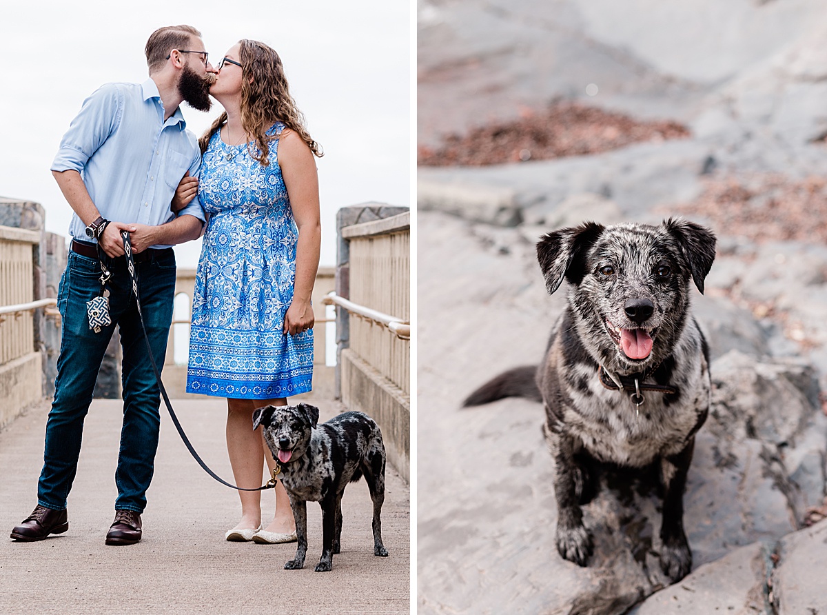 a newly engaged couple walks their adorable, black and white speckled mini aussie during a morning engagement session in Duluth, MN